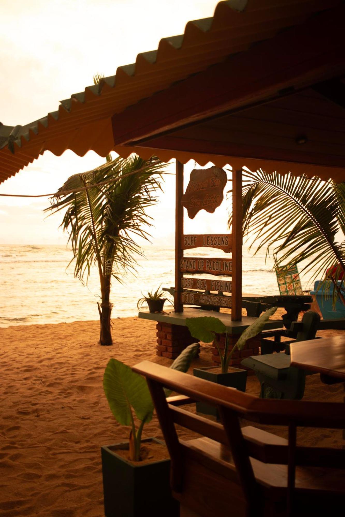 Hotel Coconut Bar Sea Lodge Beruwala Exterior foto